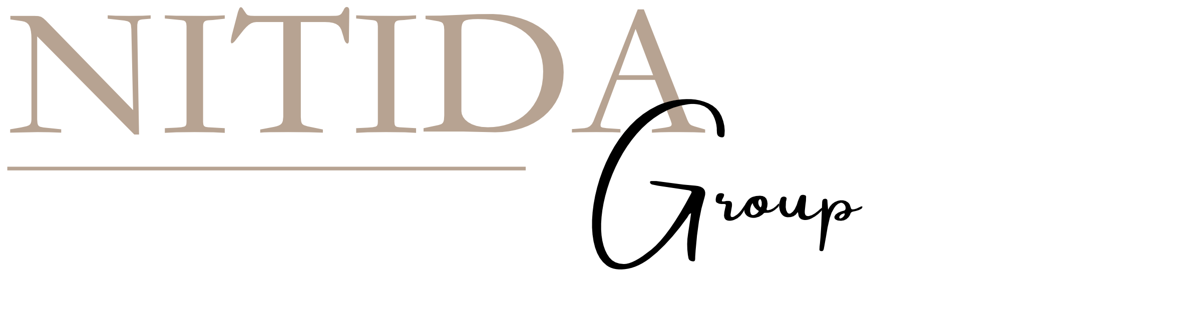 Nitida Group Logo